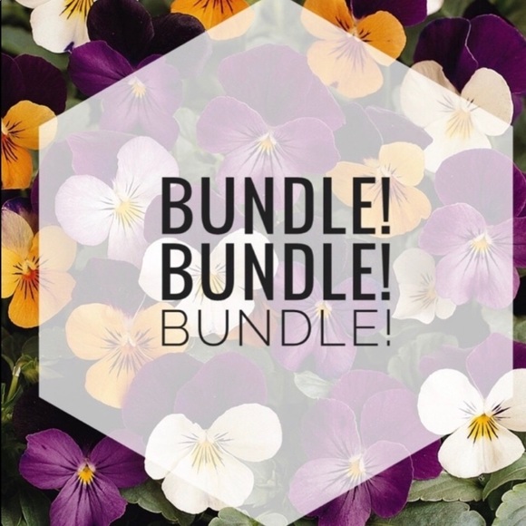 Meet your Posher, Leyla - Picture 9 of 10